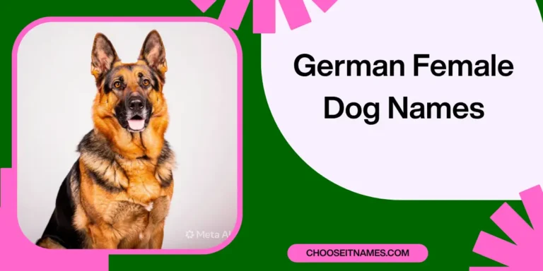 A Complete List of German Female Dog Names