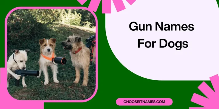 Gun Names for Dogs: Unique and Strong Name Ideas