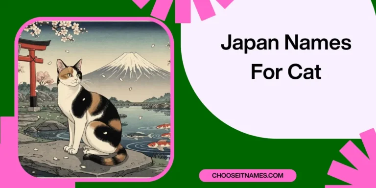 Wonderful Japanese Names For Cats