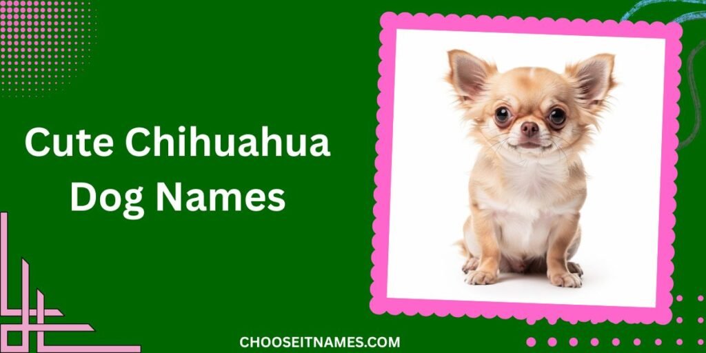 Cute Chihuahua Dog Names