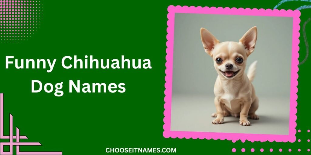 Funny Chihuahua Dog Names