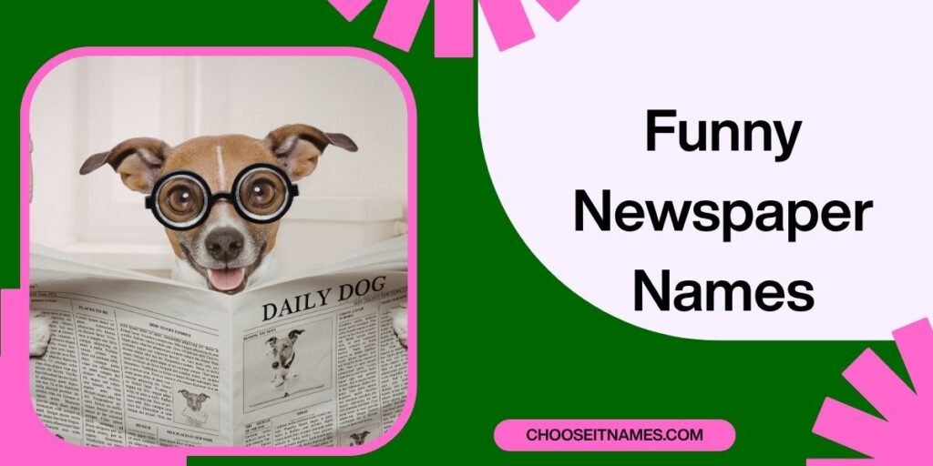 Funny Newspaper Names