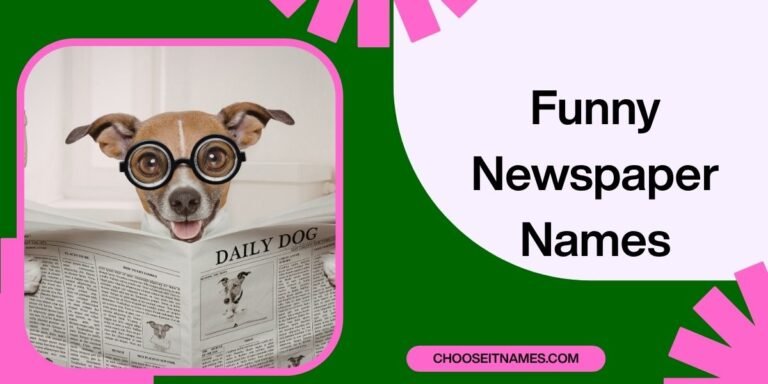 Funny Newspaper Names